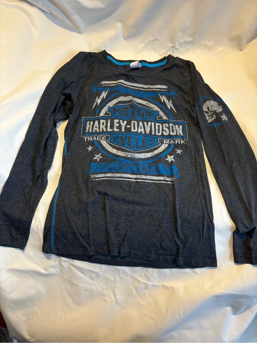 Harley-Davidson Ladies Long Sleeve Graphic Tee in Gray & Blue